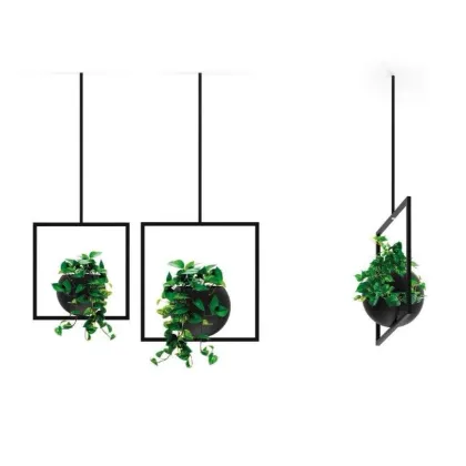 Zdjęcie Charakterystyczny kwietnik wiszący