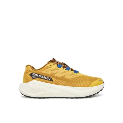 Zdjęcie Salomon Buty do biegania Aero Blaze 3 Grvl L47974200 Żółty