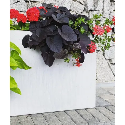 Zdjęcie 120x30x70 cm CT - Donica betonowa w kształcie prostokąta (biała)