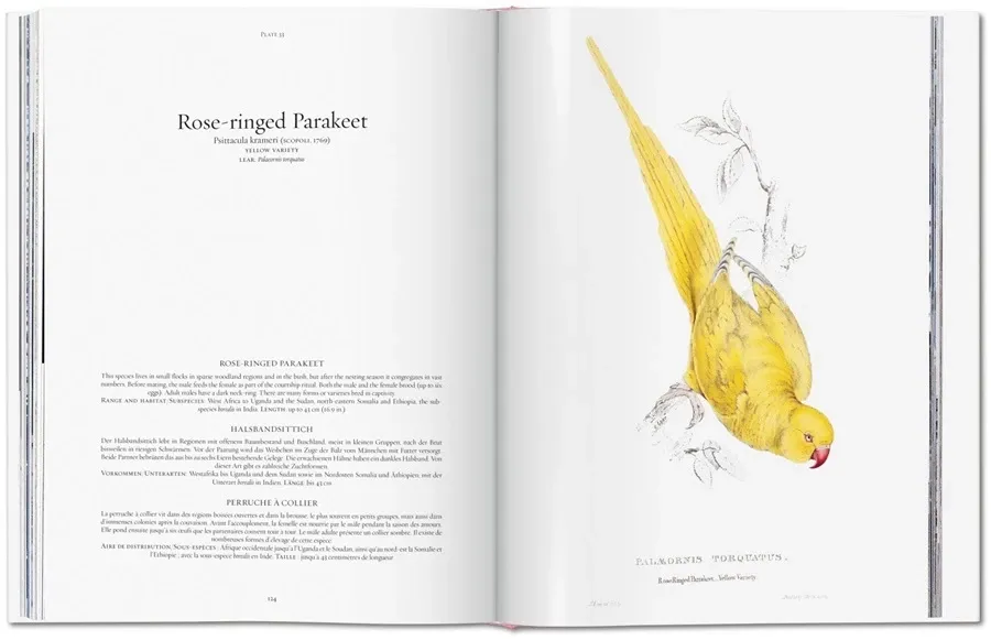 obrazek 8 Książka Edward Lear. Papugi - Taschen