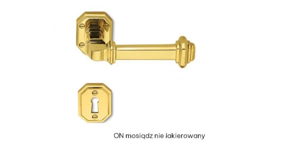 obrazek 3 Stylowa klamka Busiri z rozetą do drzwi wewnętrznych