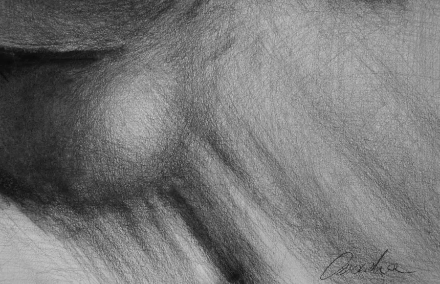 picture 2 "Niedosyt" - female nude / drawing on paper 100x70cm, Kamila Ossowska