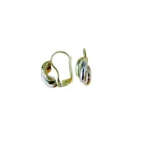 Picture Luxurious earrings from an Italian manufacturer