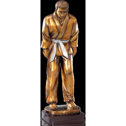 Zdjęcie Oryginalna statuetka dla najlepszego judoki – wysokość 39 cm – Erre Emme