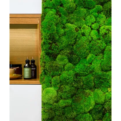 Zdjęcie 50x50 cm Mech - kompozycja MK3