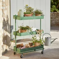 Zdjęcie Suszarka do ziół i kwiatów Deonte