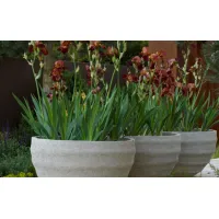 Picture Extravagant flower pot for the garden - Atelier Vierkant