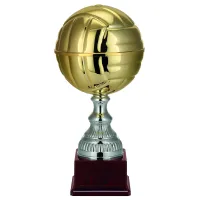 Zdjęcie Włoski puchar na zawody siatkarskie w 4 rozmiarach