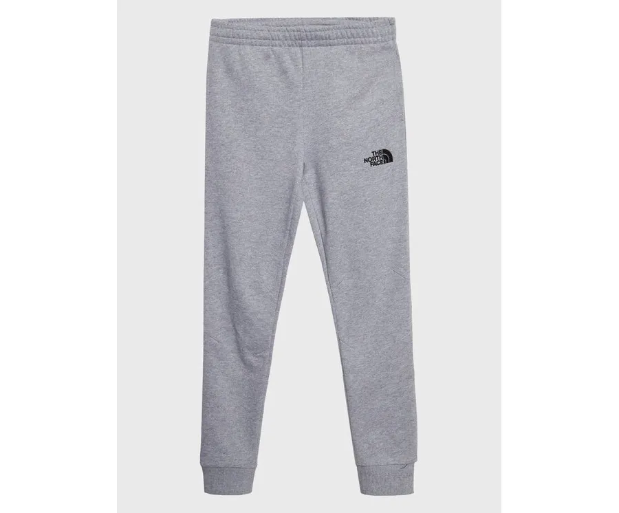 obrazek 1 The North Face Spodnie dresowe Teen NF0A82EO Szary Regular Fit