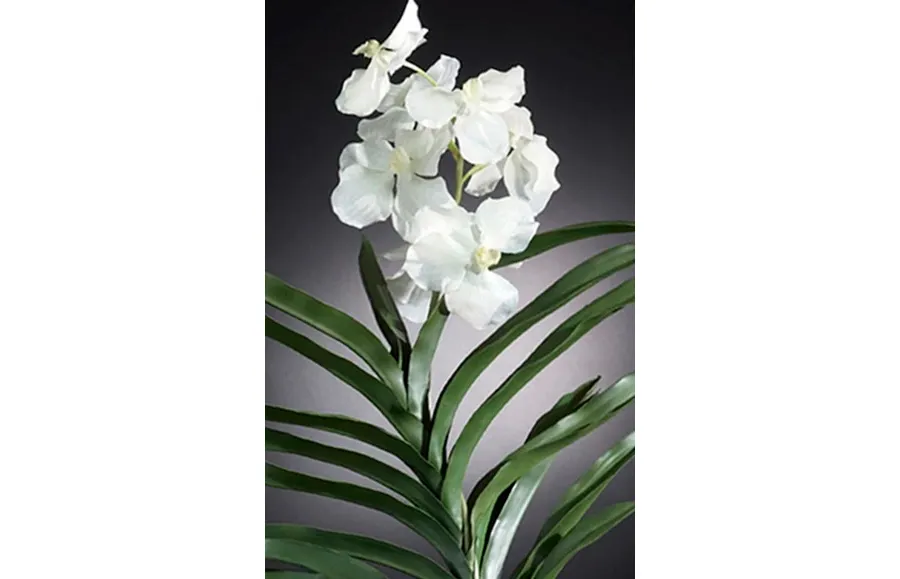 obrazek 3 Elitarny wazon ze szkła z białą orchideą na stół