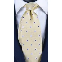 Picture A gold tie with navy blue dots straight from Italy
