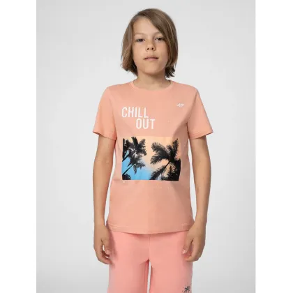 Zdjęcie 4F T-Shirt 4FJSS23TTSHM288 Różowy Regular Fit