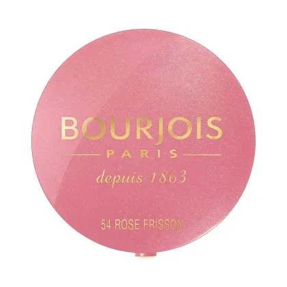 Zdjęcie Bourjois Pastel Joues 54 Rose Frisson Róż do policzków Rose Frisson 2.5 g