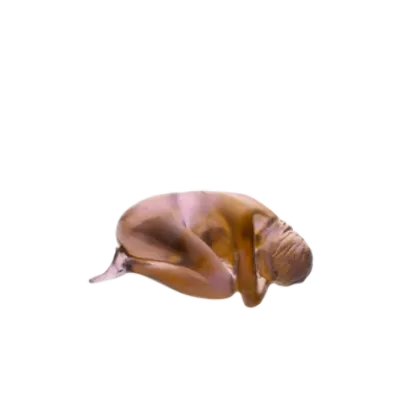 Zdjęcie Rzeźba Pierwsza miłość autorstwa Sylvie Mangaud