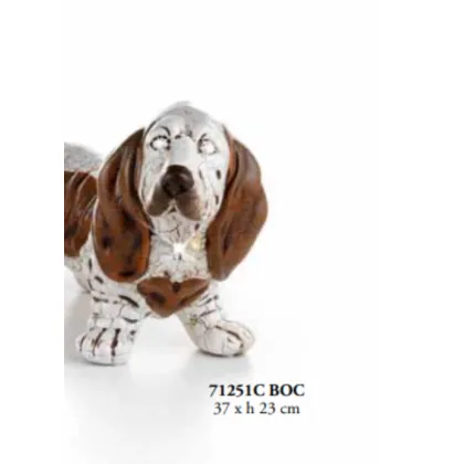 Picture Medium dachshund on 4 legs - Valle d'oro Patchi