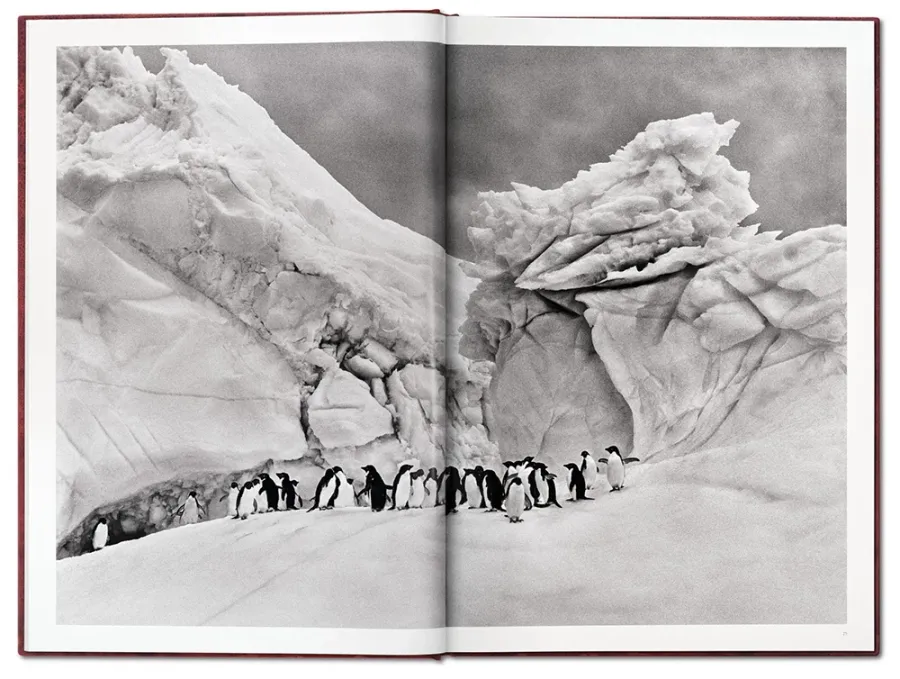 obrazek 4 Książka Sebastião Salgado. GENESIS, Art Edition No. 1–100 ‘Two Mursi Women, Omo Valley, Ethiopia’ - Taschen