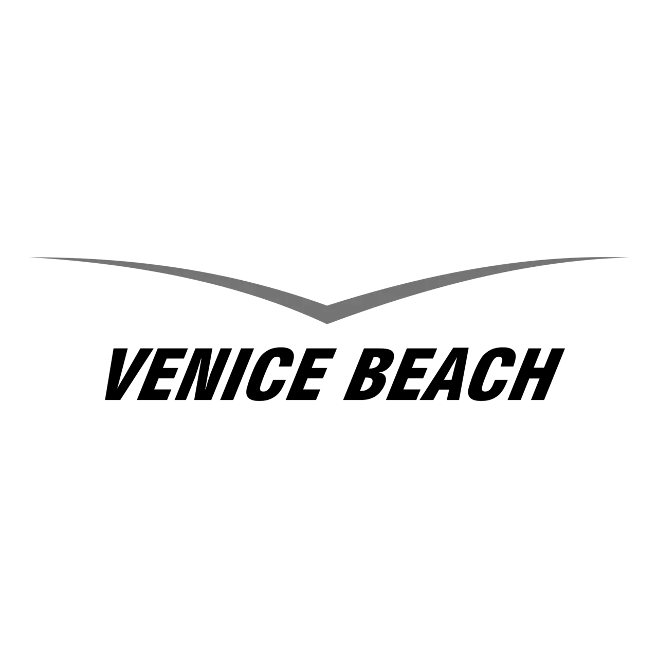 Venice Beach logo