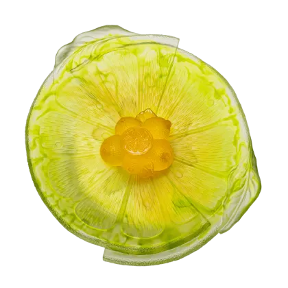 Zdjęcie Dekoracyjna patera zdobiona motywem cytrusów – marka Daum