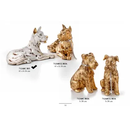 Picture Great Dane lying with collar - Valle d'oro Patchi