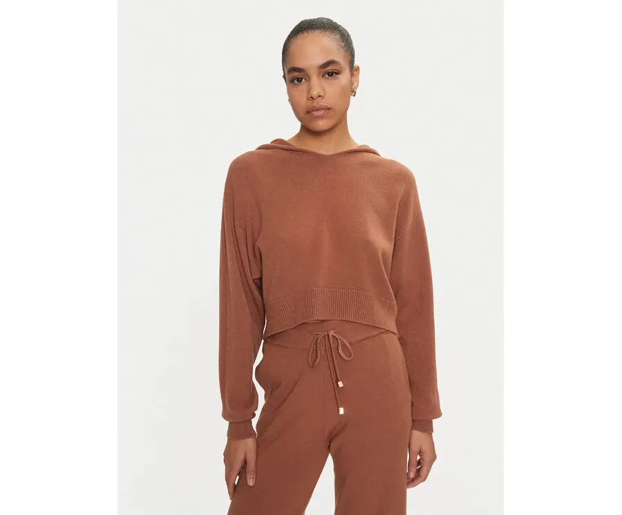 obrazek 1 Fracomina Sweter FJ24WT7009K42001 Brązowy Regular Fit