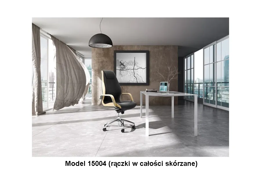 picture 14 Leather armchair prestigiously decorated with Wave leather
