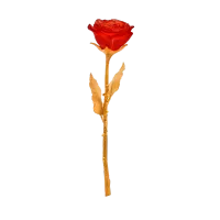 Picture Beautiful red eternal rose – Daum brand