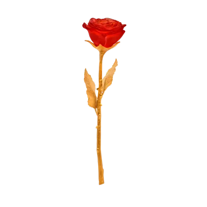 Zdjęcie Piękna czerwona wieczna róża – marka Daum