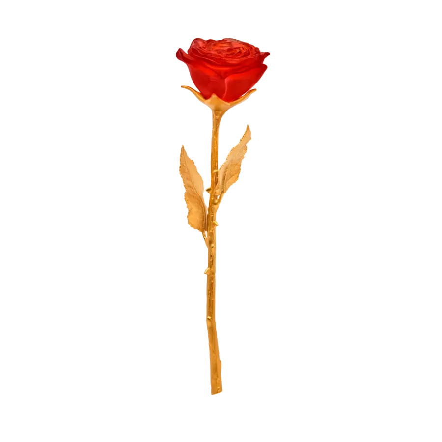 obrazek 1 Piękna czerwona wieczna róża – marka Daum