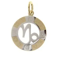 Zdjęcie Dwukolorowa złota zawieszka ze znakiem zodiaku koziorożca