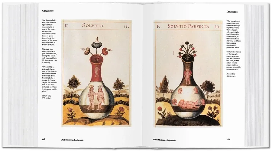 obrazek 8 Książka Alchemia i mistycyzm - Taschen