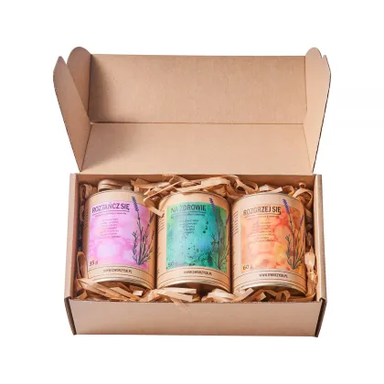 Zdjęcie Dworzysk - Zestaw Aktywny Dzień DWORZYSK