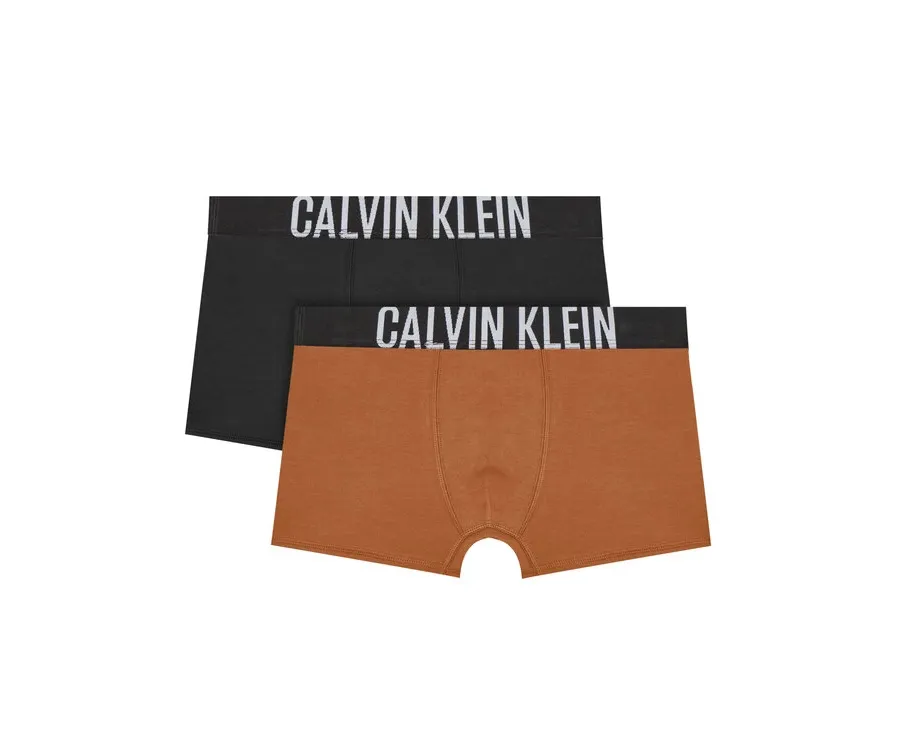 obrazek 1 Calvin Klein Underwear Komplet 2 par bokserek B70B700509 Kolorowy