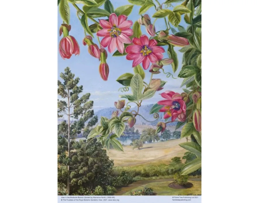 obrazek 2 Puzzle dla dorosłych Kew: Marianne North: Widok w ogrodzie botanicznym Brisbane - Flame Tree Publishing