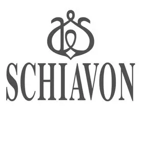 Schiavon s.r.l. logo