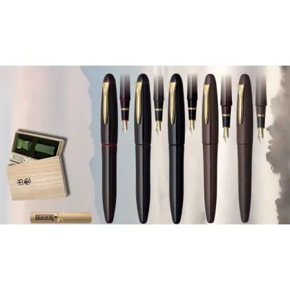 Picture Luxurious Platinum Izumo Matte-Tagayasan Fountain Pen (matte)