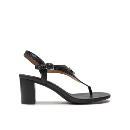 Zdjęcie Lauren Ralph Lauren Sandały 802935564001 Czarny LAUREN RALPH LAUREN