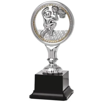 Zdjęcie Trofeum dla koszykarza