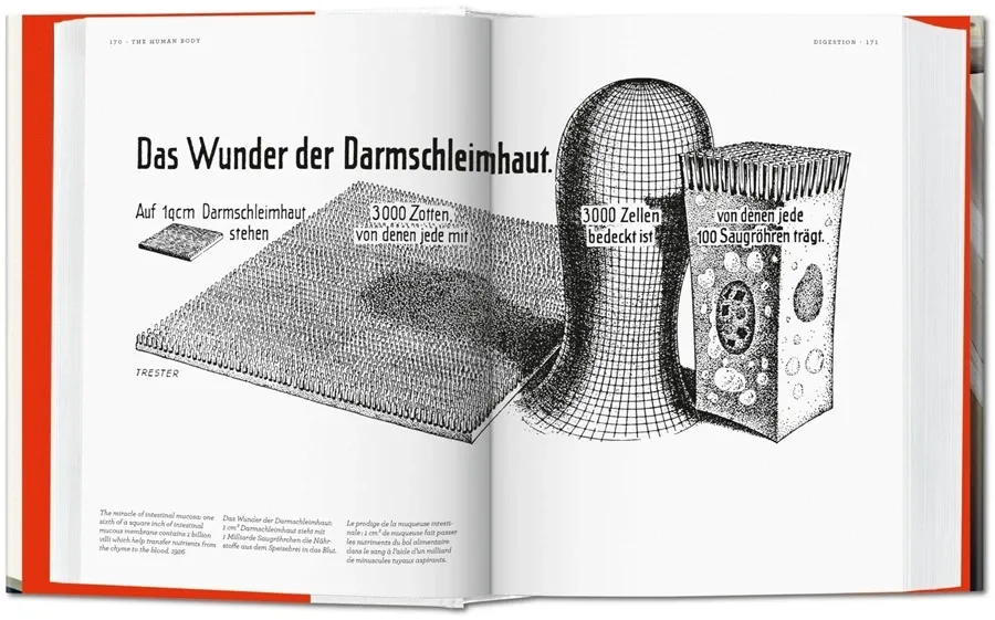 obrazek 3 Książka Fritz Kahn. Infographics Pioneer - Taschen