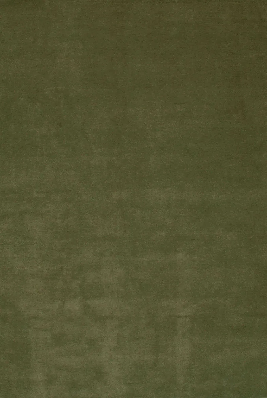 obrazek 1 Elegancki włoski dywan w odcieniach zieleni - Sartori Rugs