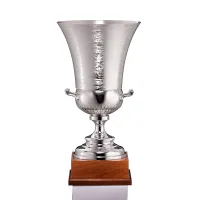 Zdjęcie Unikatowy puchar sportowy