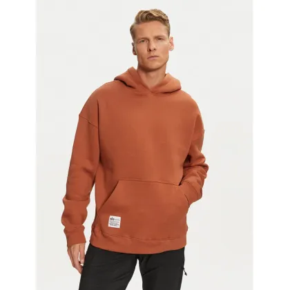 Zdjęcie Alpha Industries Bluza 146336 Brązowy Regular Fit