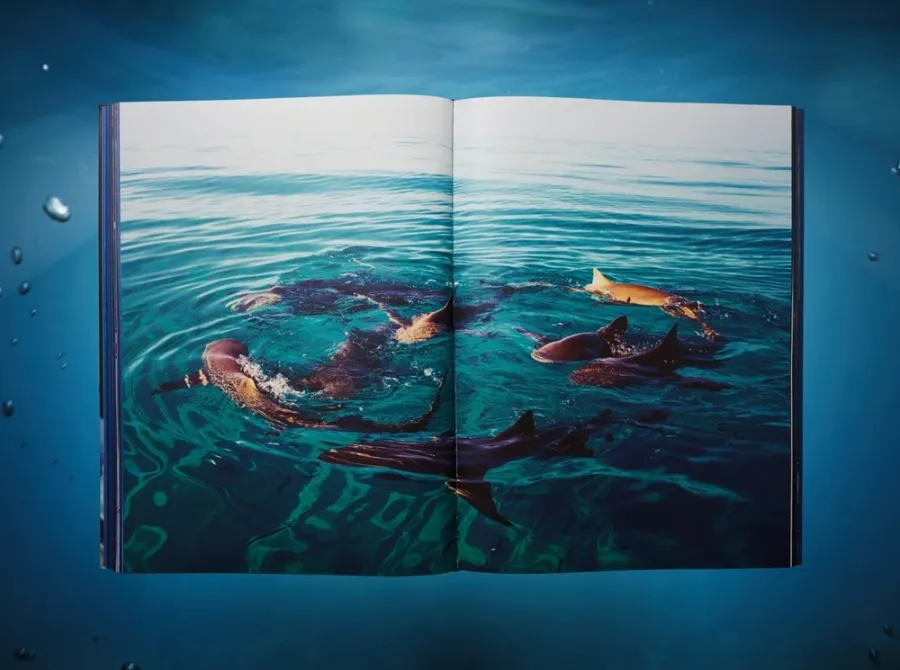 obrazek 8 Książka Michael Muller. Sharks - Taschen