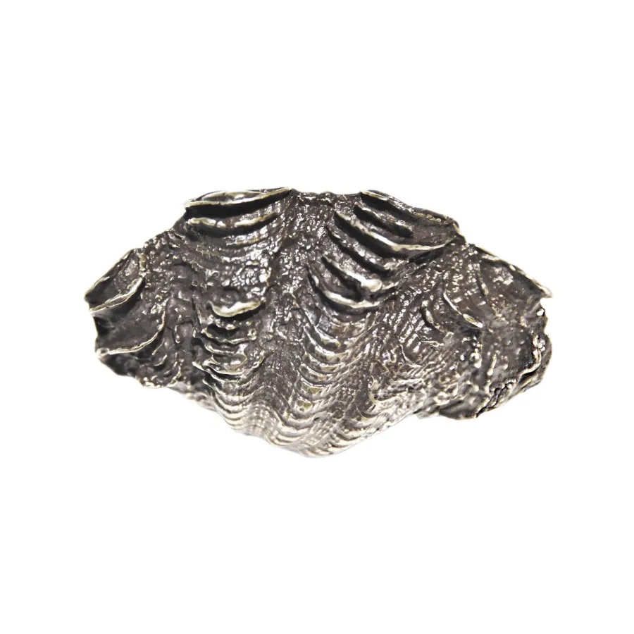 obrazek 1 Uchwyt muszlowy z odlewu metalowego H.5xL.8xP.1 cm