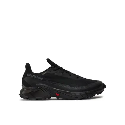 Zdjęcie Salomon Buty do biegania Alphacross 5 Gore-Tex L47307500 Czarny