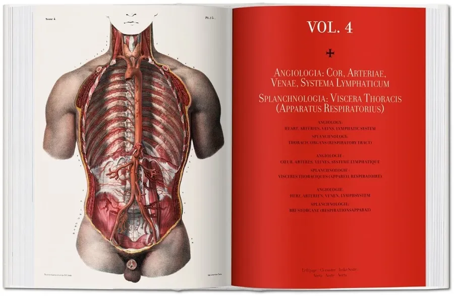 obrazek 4 Książka Jean Marc Bourgery. Atlas anatomii i chirurgii człowieka - Taschen