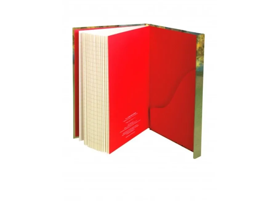 obrazek 2 Dziennik (Degas: Gwiazda) - Flame Tree Publishing