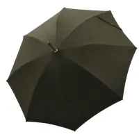 Picture A unique umbrella with a deer horn handle
