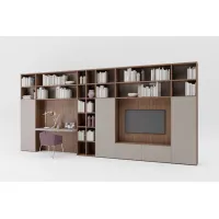 Picture Elegant bookcase for the office - Prof