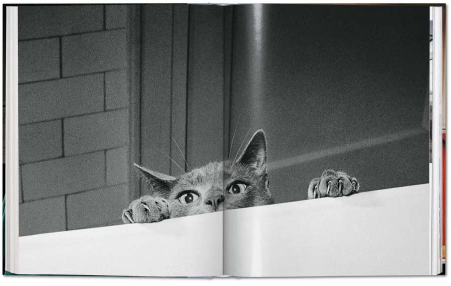 obrazek 5 Książka Walter Chandoha. Cats. Photographs 1942–2018 - Taschen