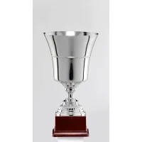 Picture Made in Italy - silver sports cup